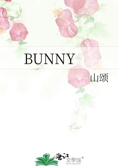 bunny的复数
